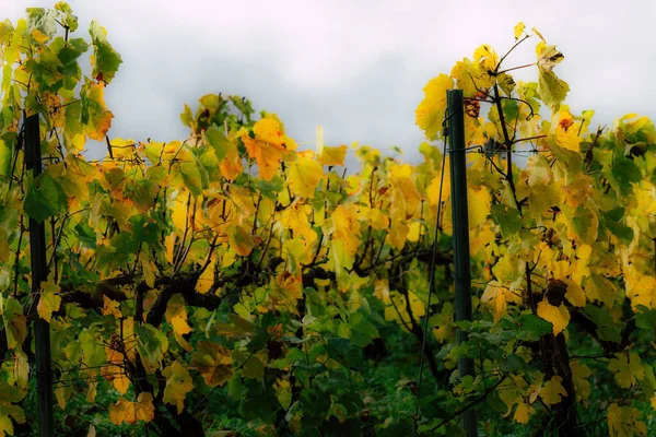 Colors of France — Stock Photo, Image