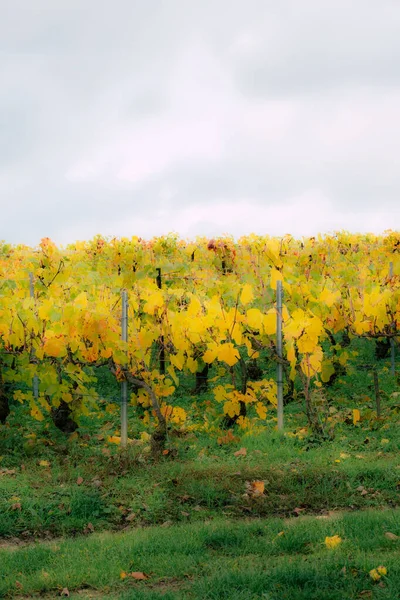 Kleuren van Frankrijk — Stockfoto