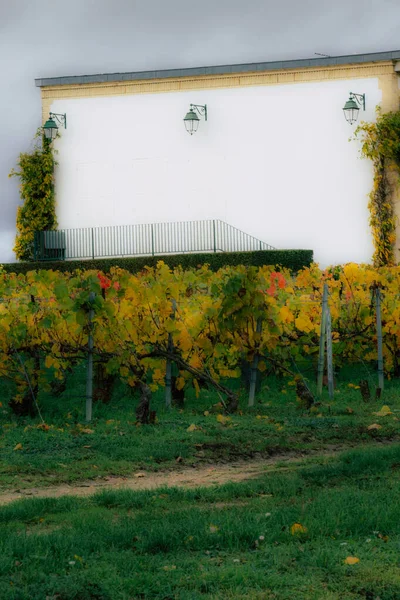 Colors of France — Stock Photo, Image