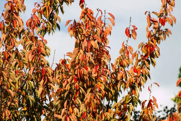 Colors of France — Stock Photo, Image