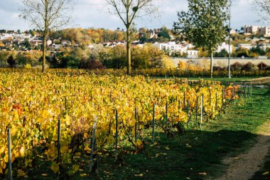 Fransa'nın renkleri