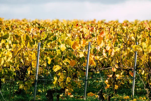 Colores de Francia — Foto de Stock