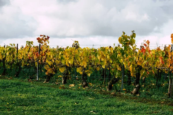 Colores de Francia —  Fotos de Stock