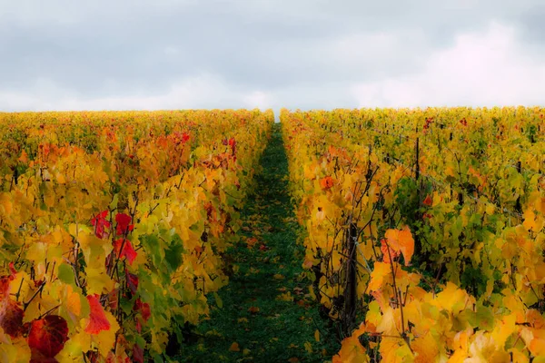 Die Farben Frankreichs — Stockfoto