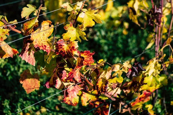 Colors of France — Stock Photo, Image