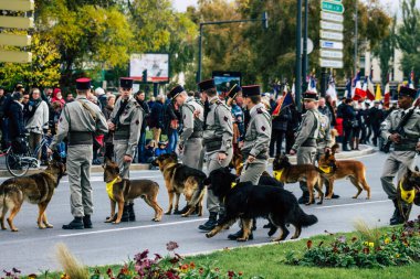 Fransa'nın renkleri