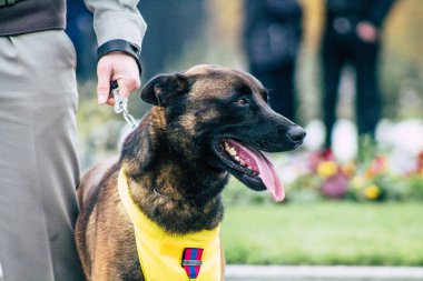 Fransa'nın renkleri