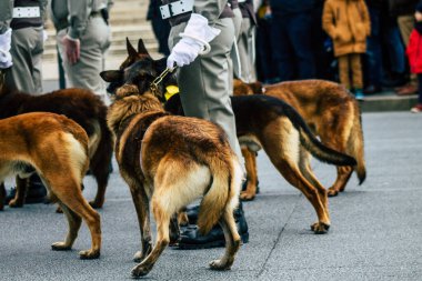 Fransa'nın renkleri