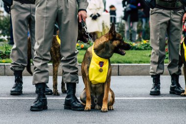 Fransa'nın renkleri