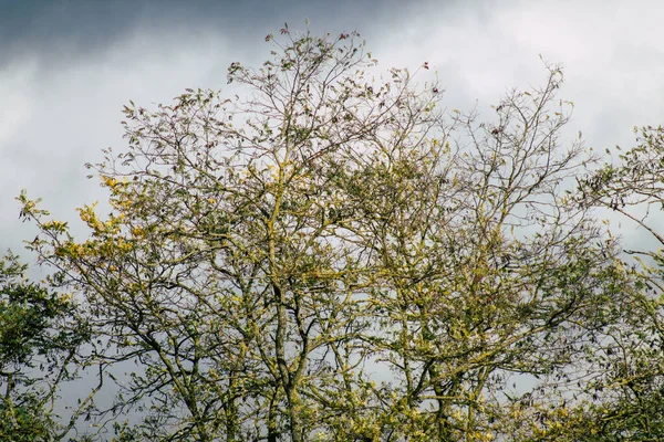 Kleuren van Frankrijk — Stockfoto