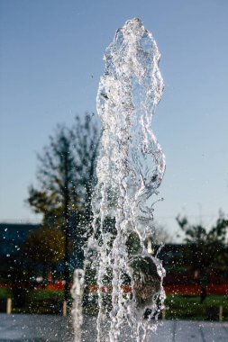 Fransa'nın renkleri