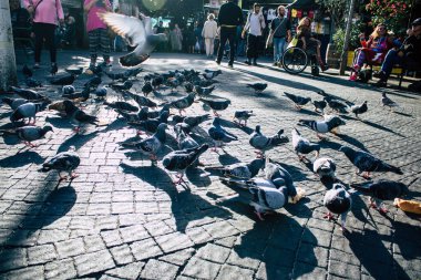 İsrail 'in Renkleri