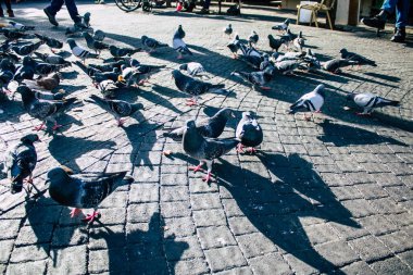 İsrail 'in Renkleri