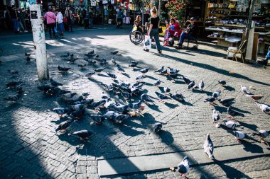 İsrail 'in Renkleri