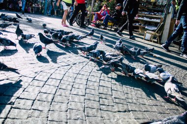 İsrail 'in Renkleri