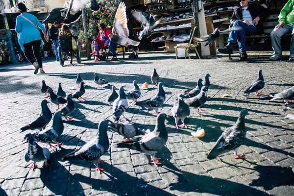 İsrail 'in Renkleri — Stok fotoğraf