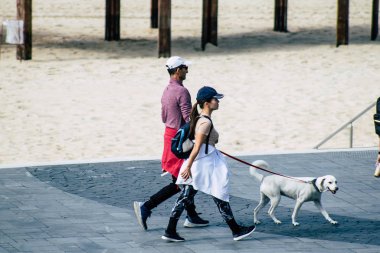 İsrail 'in Renkleri