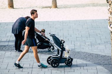 İsrail 'in Renkleri