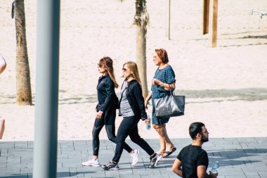 İsrail 'in Renkleri