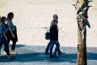 İsrail 'in Renkleri