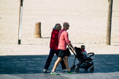 İsrail 'in Renkleri