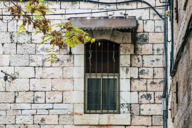 İsrail 'in Renkleri