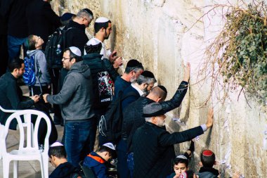 İsrail 'in Renkleri