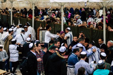 İsrail 'in Renkleri