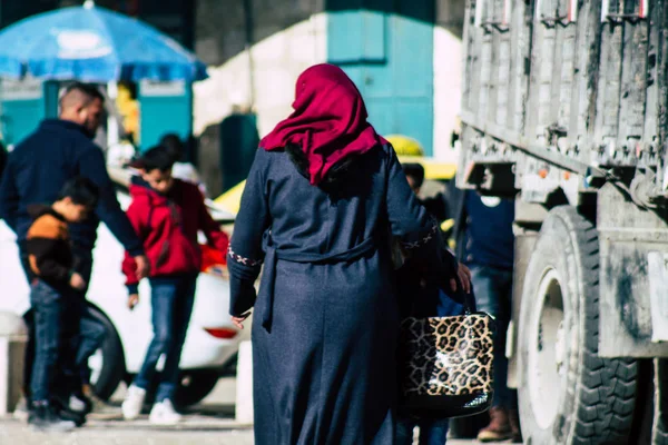 팔레스타인의 색상 — 스톡 사진