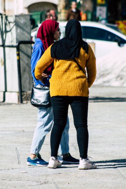 Filistin renkleri