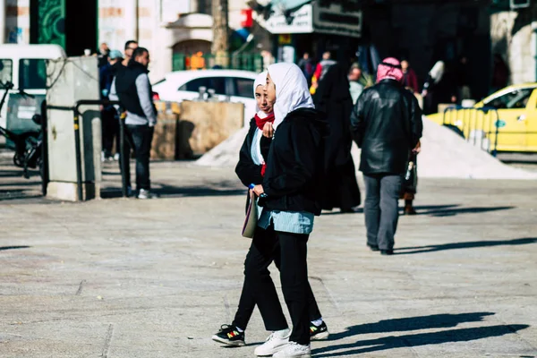 Цвета Палестины — стоковое фото
