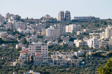 Filistin renkleri