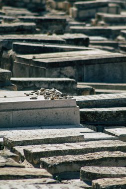 İsrail 'in Renkleri