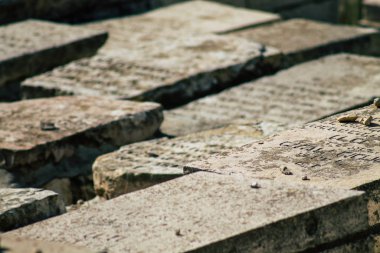 İsrail 'in Renkleri