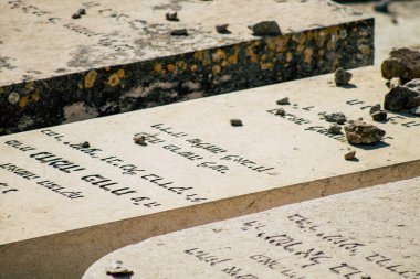İsrail 'in Renkleri