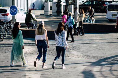 İsrail 'in Renkleri