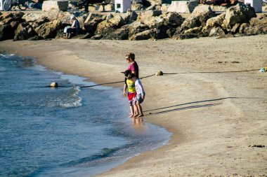 İsrail 'in Renkleri