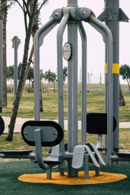 İsrail 'in Renkleri