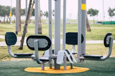 İsrail 'in Renkleri