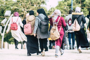 İsrail 'in Renkleri