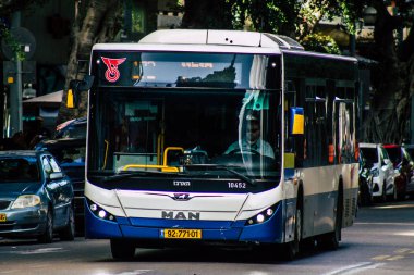 İsrail 'in Renkleri