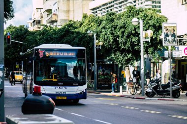 İsrail 'in Renkleri