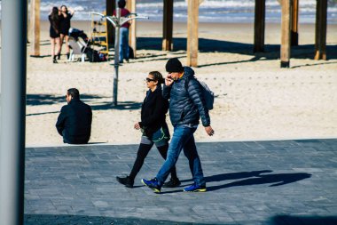 İsrail 'in Renkleri