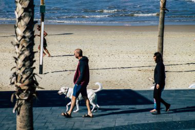 İsrail 'in Renkleri