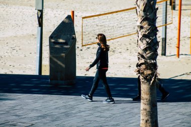 İsrail 'in Renkleri