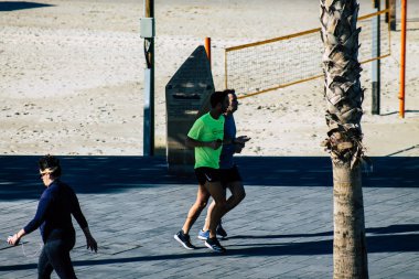 İsrail 'in Renkleri