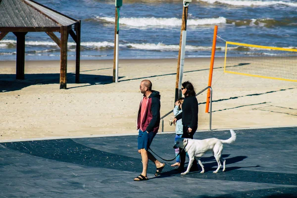 İsrail 'in Renkleri