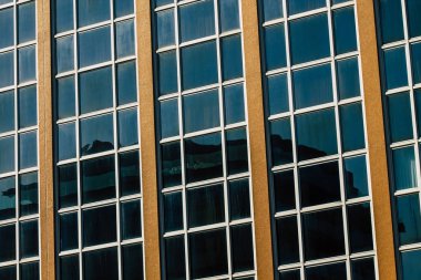 İsrail 'in Renkleri