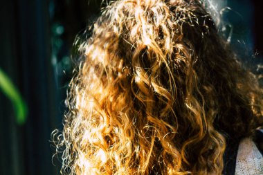 İsrail 'in Renkleri