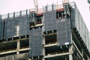 İsrail 'in Renkleri